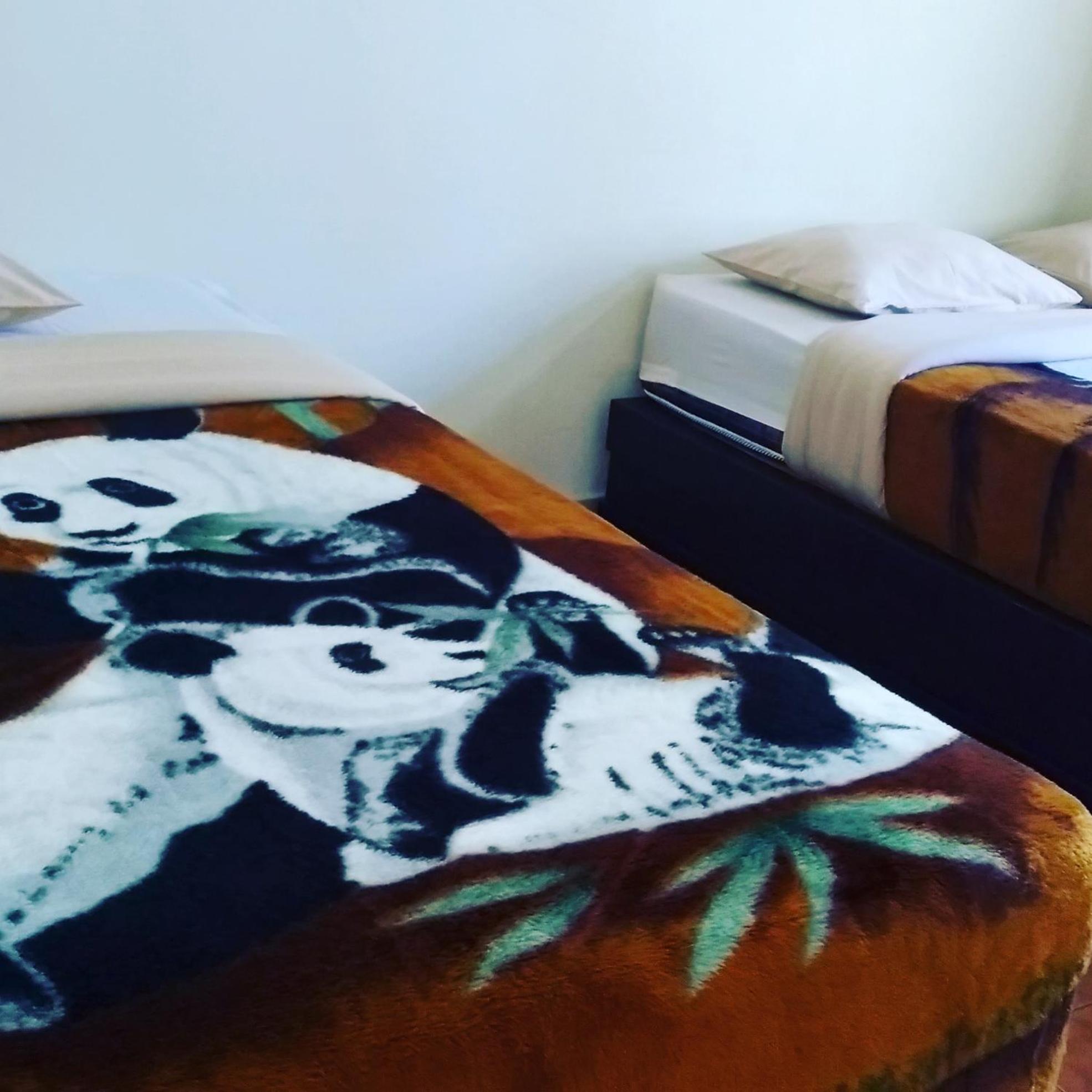 Bromo Otix Guest House Værelse billede