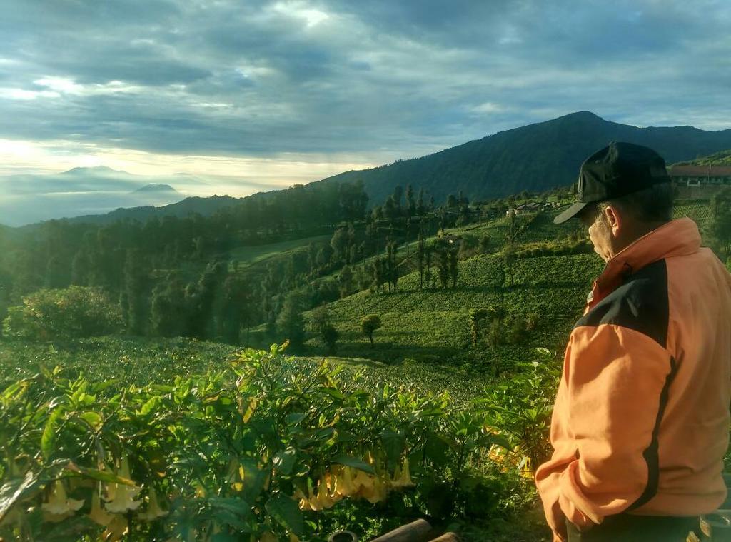 Bromo Otix Guest House Eksteriør billede
