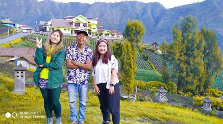 Bromo Otix Guest House Eksteriør billede
